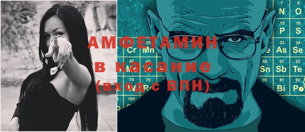 гидра Рославль