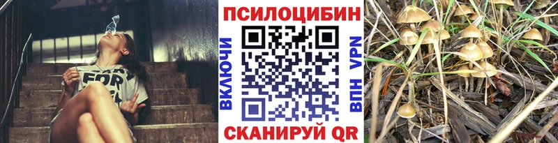 Галлюциногенные грибы прущие грибы  Няндома 